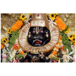 Lord Narasimhadev Poster