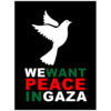 We Want Peace In Gaza Poster
