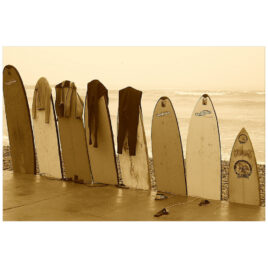 Surf Boards Poster