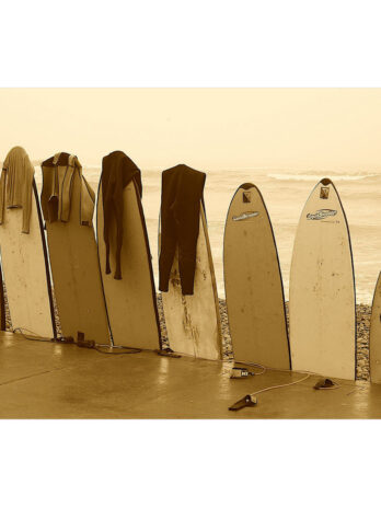 Surf Boards Poster