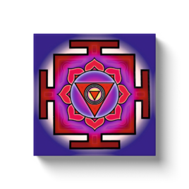 Sidh Shani Yantra8