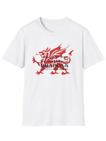 DRAGON DENIAL  Softstyle T-Shirt