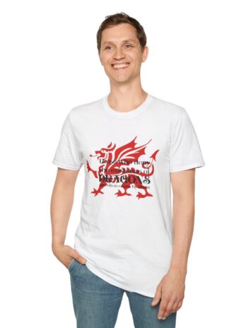 DRAGON DENIAL  Softstyle T-Shirt